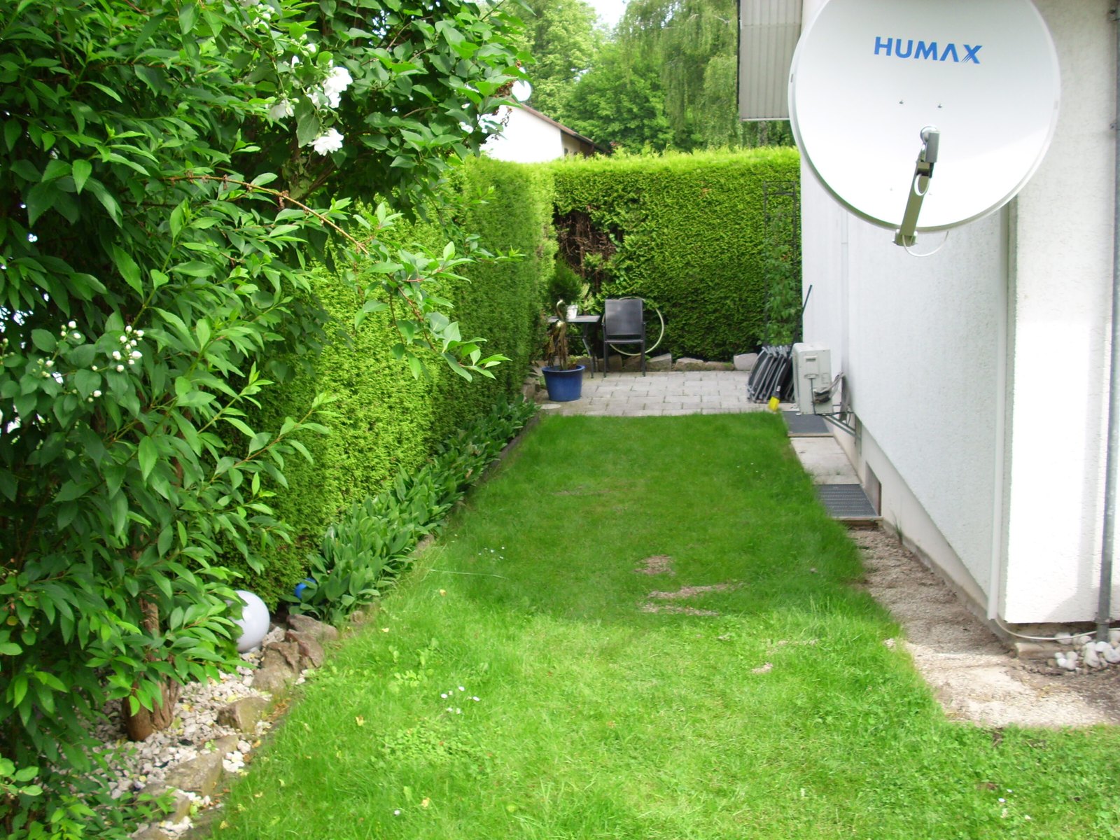 Gepflegter Garten mit geschnittener Hecke und Rasenfläche